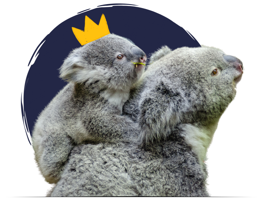 A regal koala bear wearing a crown, exuding majesty and charm, showcasing the beauty of nature's royalty