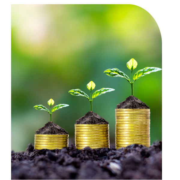 The Power of Compounding