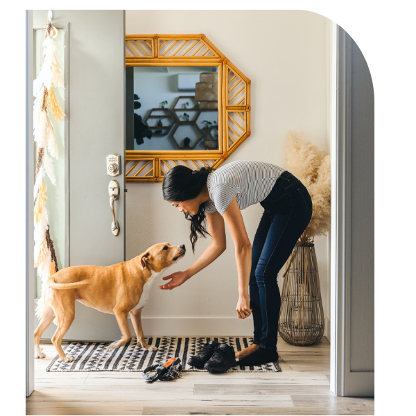 What is an Offset Feature?